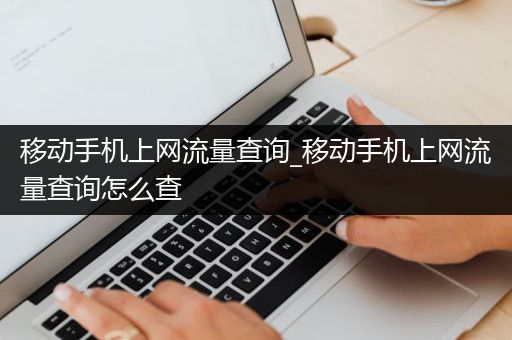 移动手机上网流量查询_移动手机上网流量查询怎么查